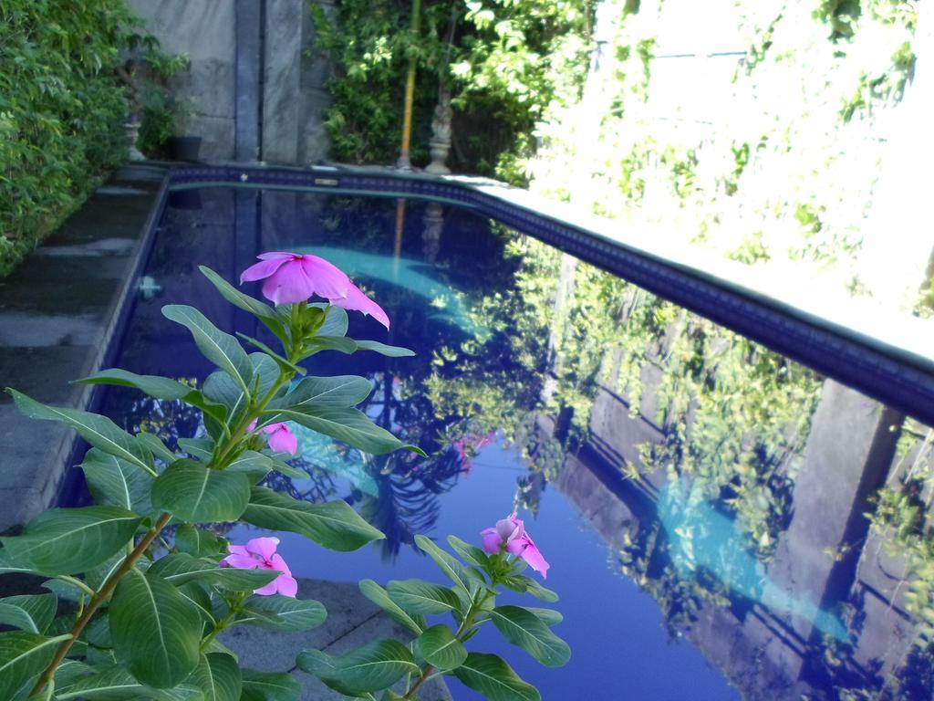 Готель Bali Aman Darling House Чангу Екстер'єр фото