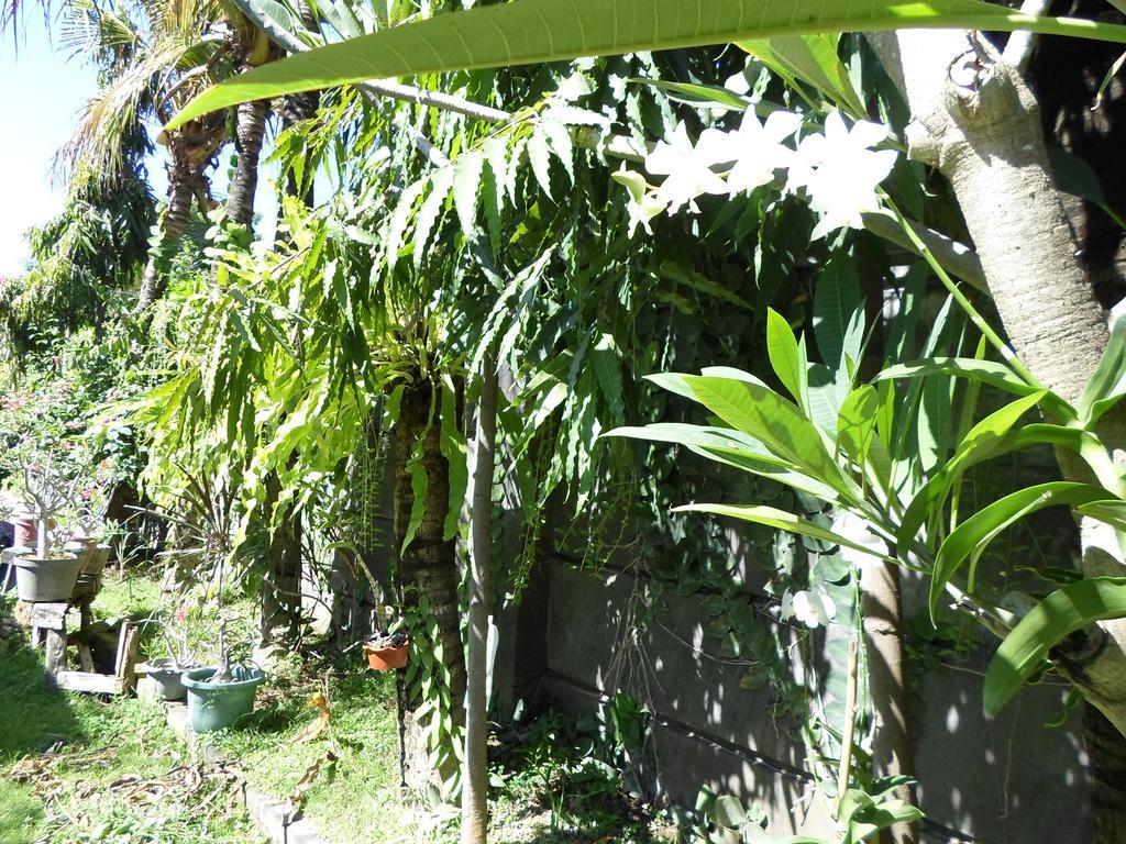 Готель Bali Aman Darling House Чангу Екстер'єр фото
