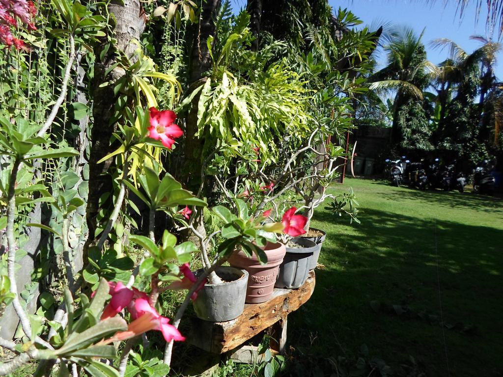 Готель Bali Aman Darling House Чангу Екстер'єр фото